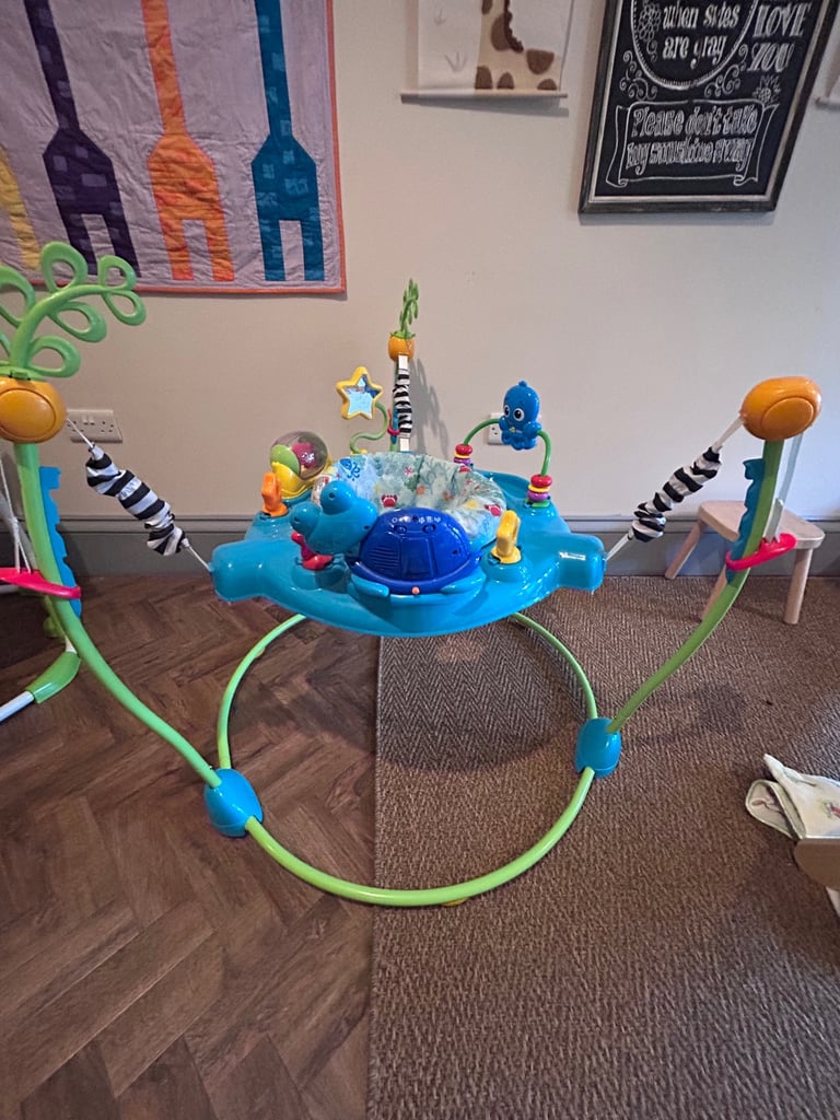Baby Einstein Jumperoo