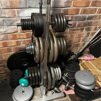 weights, barbell, dumbbell, squat rack, weight bench, power tower, gym