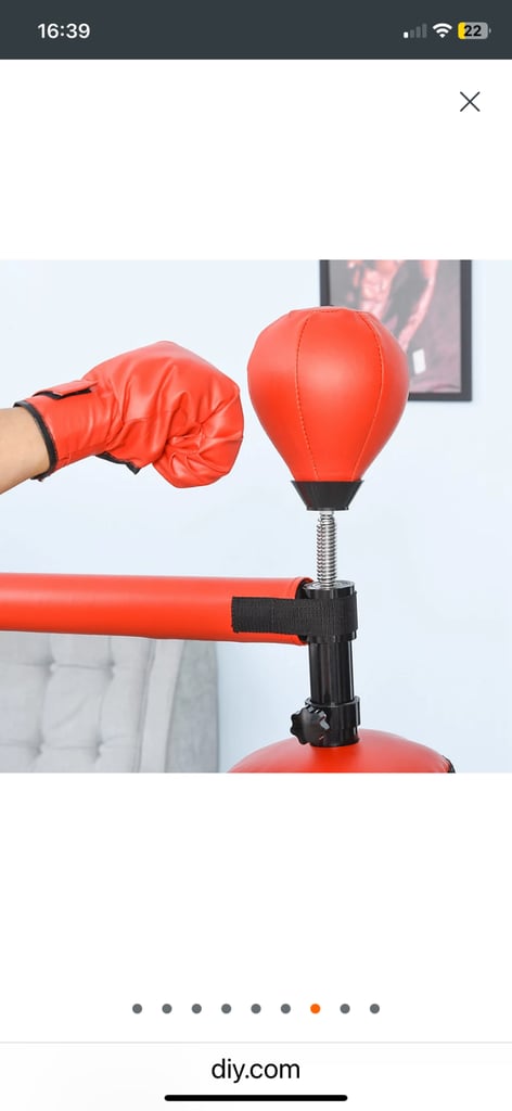 Boxing Punching Bag