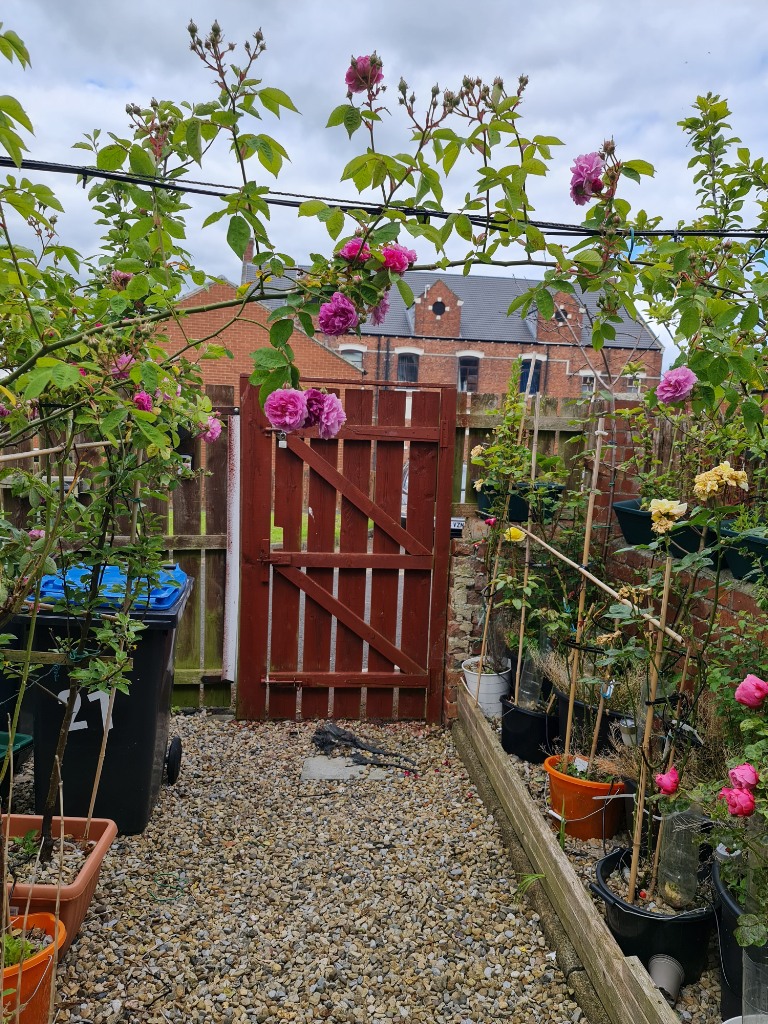 Double rooms, all bills inclusive in Eldon Lane, Bishop Auckland DL14 8TD