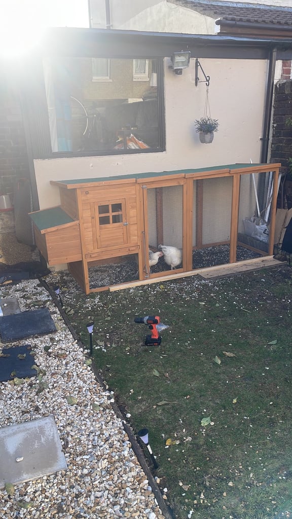 Chicken/ rabbit coop