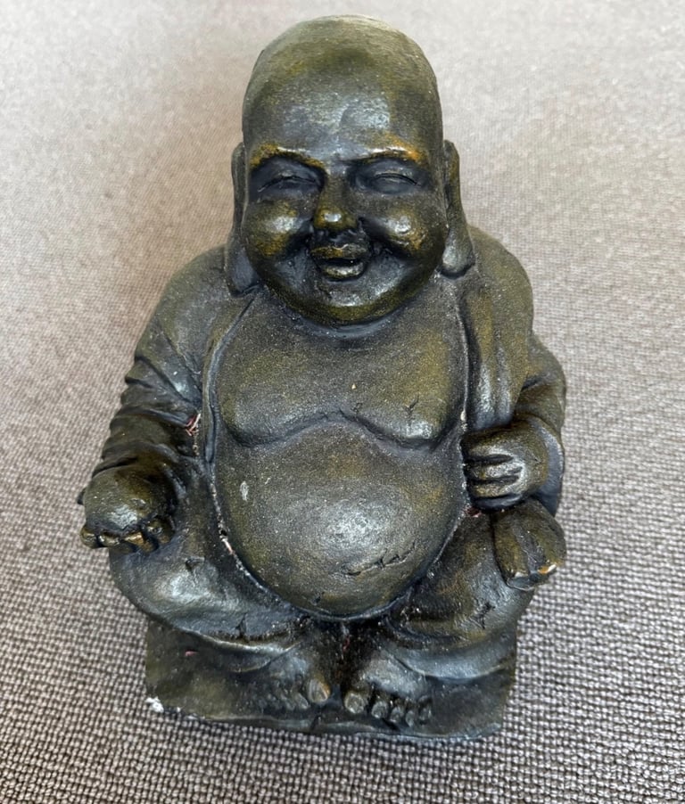image for The Buddha Bronze
