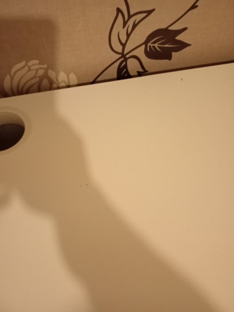 FREE! White IKEA Micke Desk
