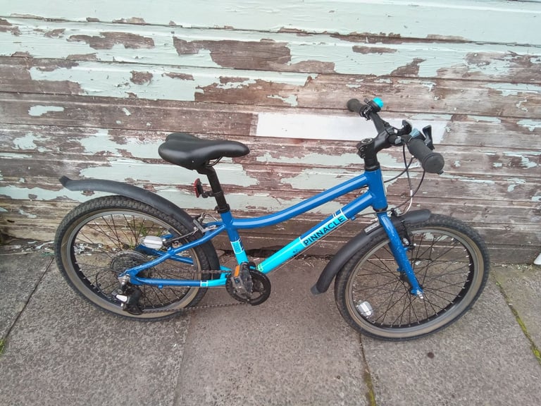 Pinnacle Ash Child's Bike 