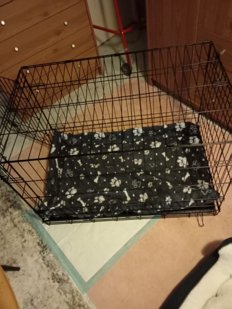 Dog crate 