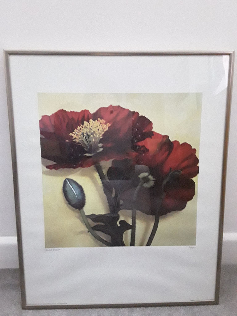 Flower picture