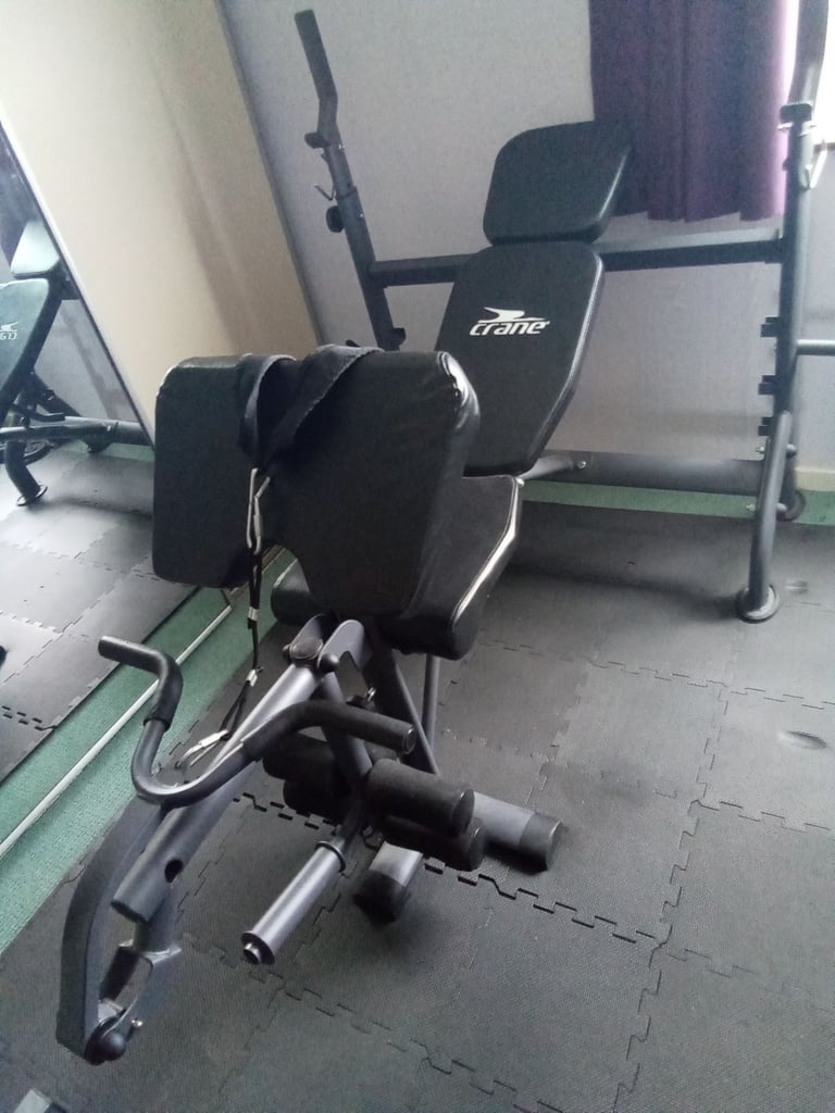 image for Weights bench