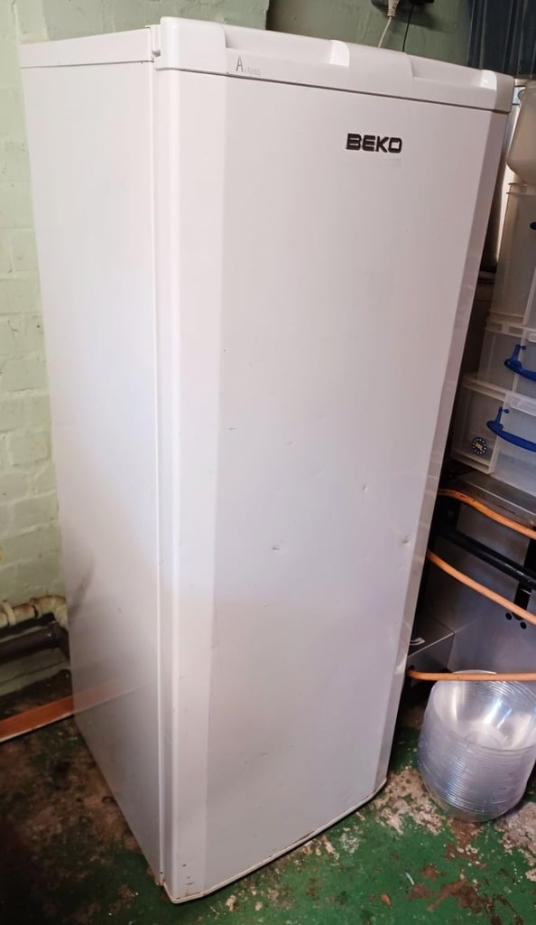 image for BEKO 'A CLASS' Refrigerator Fridge Freestanding
