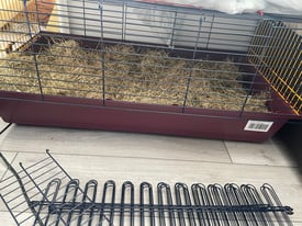 Rabbit cage and accessories 