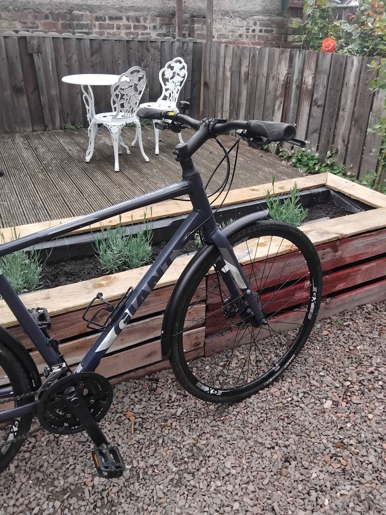 Giant Escape City Disc 2019 hybrid Large