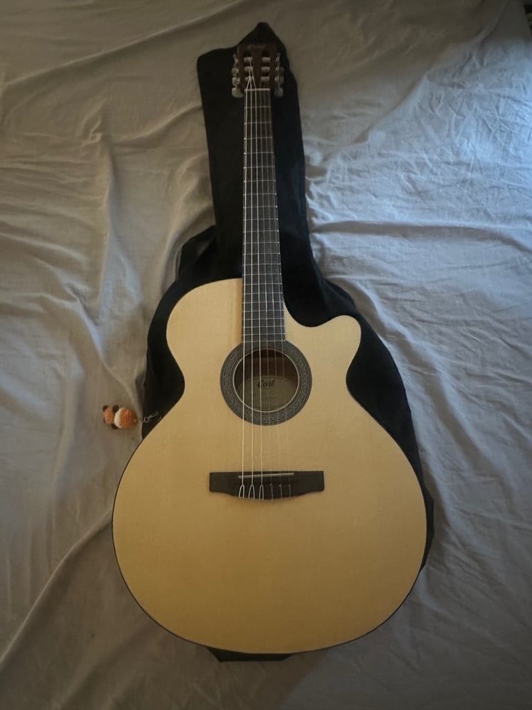 acoustic guitar