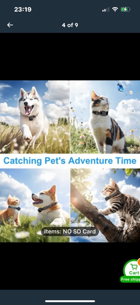 Cat/pet cam collar camera 