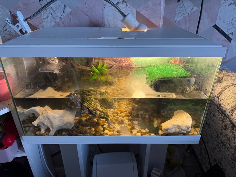 58 Litre Aquarium