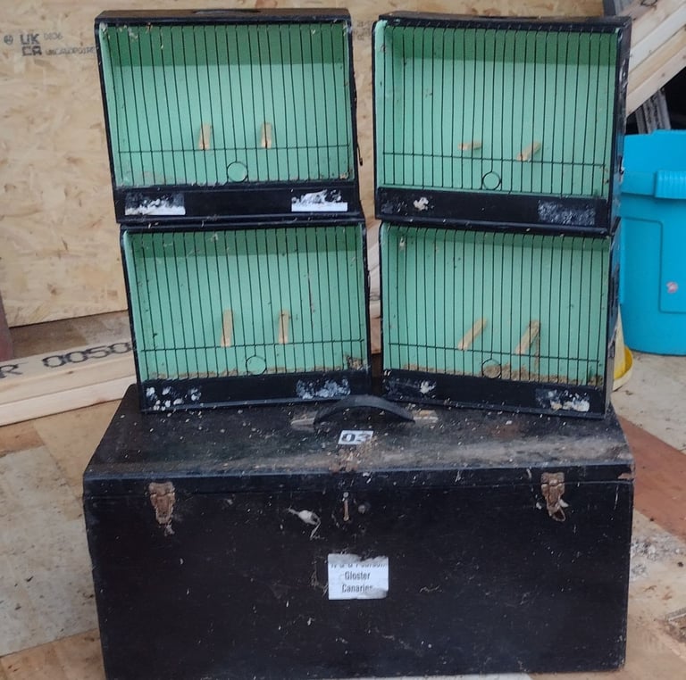 Gloster Canary show cages 