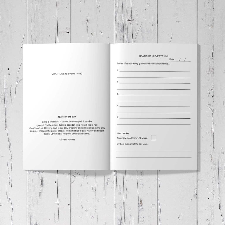 Gratitude Journal For Abundance 90 days (Hardcover) 