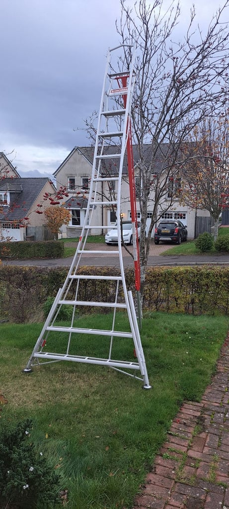Tripod Ladders for high treework