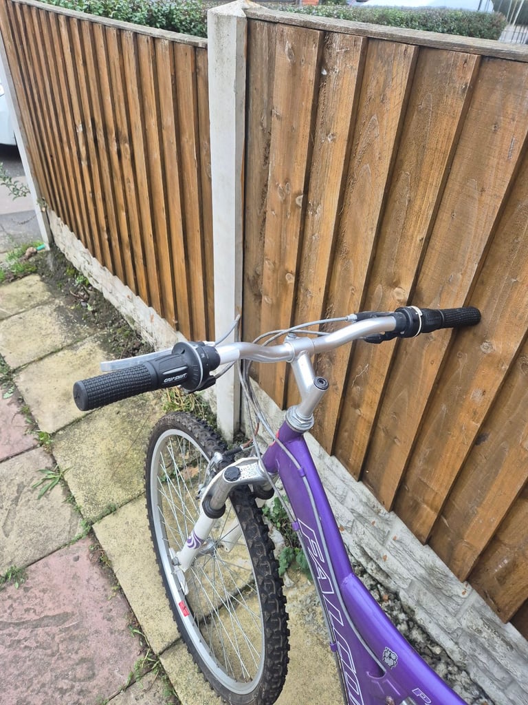 Falcon mountain bike 