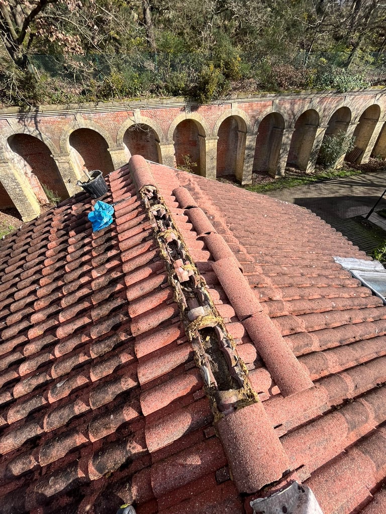 image for GUTTER CLEANING & repair expert Roof clean&repair driveway windowsPro