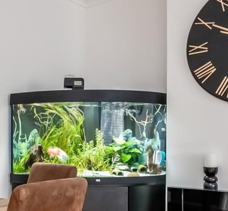 300ltr Corner Fish Tank (Juwel)