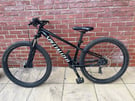 Specialized Rockhopper Mountain Bike (S)