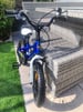 Royalbaby – RoyalRider Freestyle 14” blue bike for boys and girls