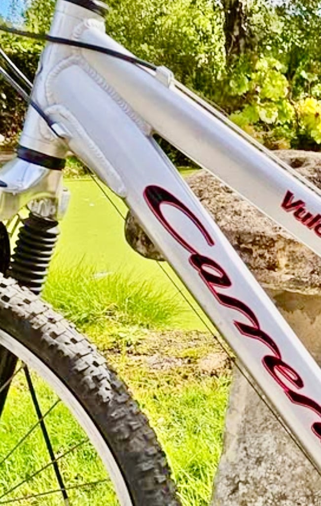 CARRERA 🏔QUALITY MOUNTAIN BIKE ❤️FREE DELIVERY 