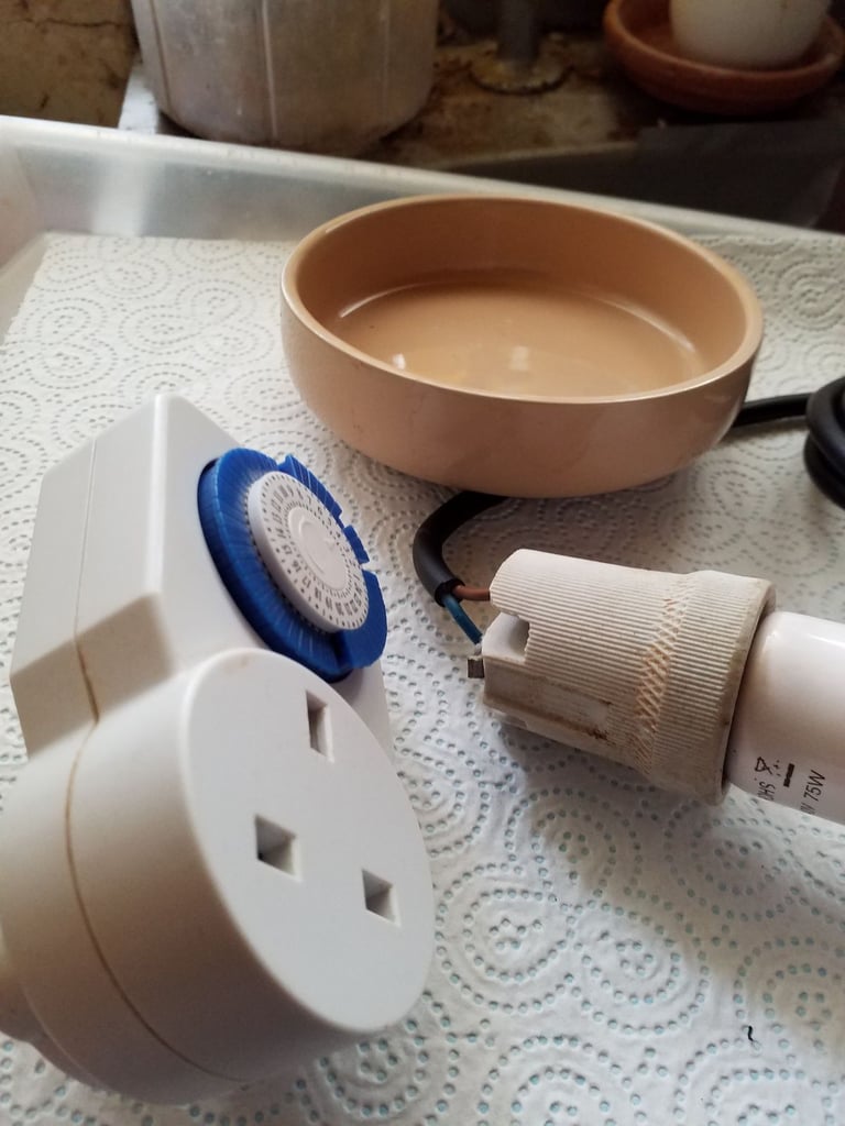 Rep China Feeding Bowl  &  24hr  Timers for equipment 