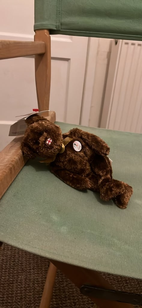 Champion the bear ty