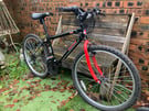 Arden Trail Mountain Bike