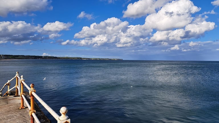 Pet friendly budget holidays on the east yorkshire coast. Bridlington and Flamborough 