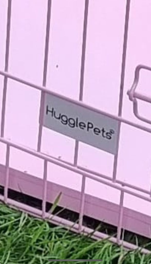 Hugglepets 