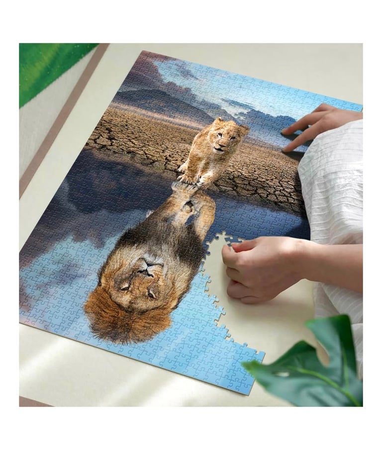 Jigsaw puzzles(brand new)