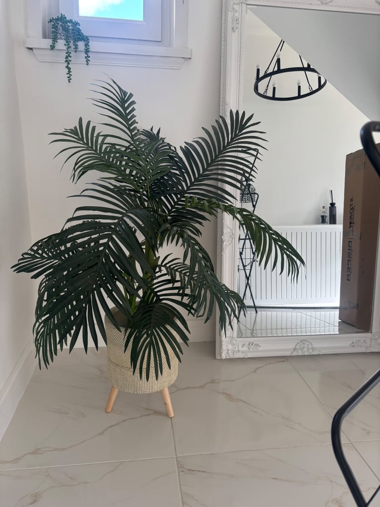 Plant and planter 