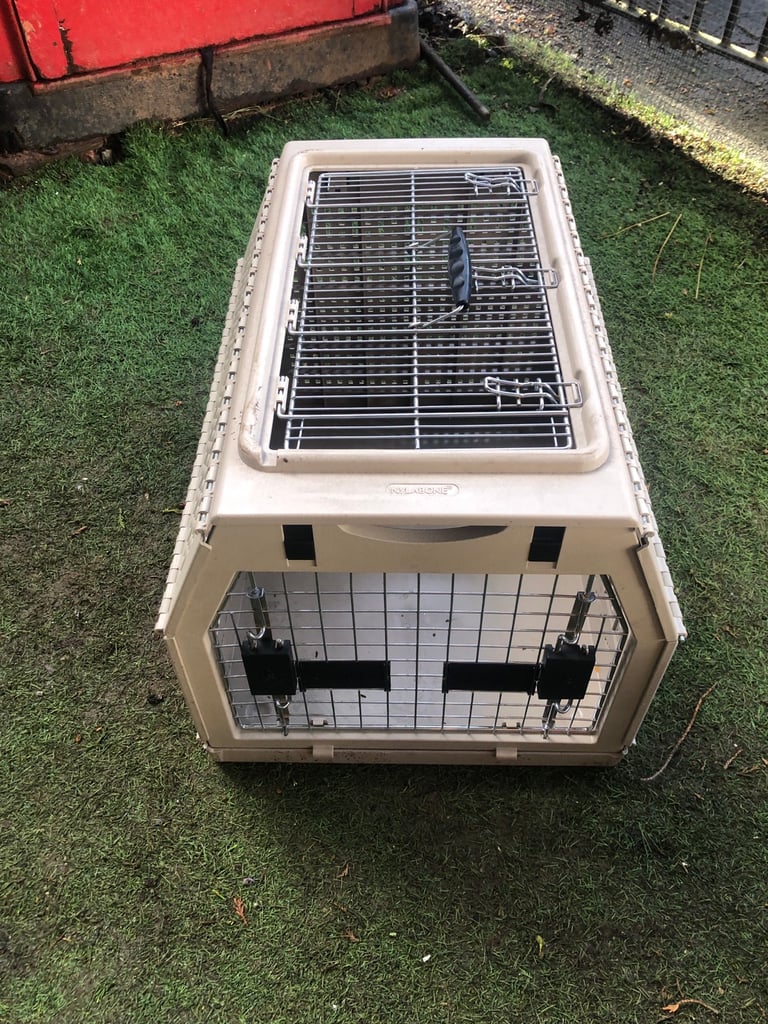Dog crate in Leicester, Leicestershire | Pet Equipment & Accessories for  Sale - Gumtree