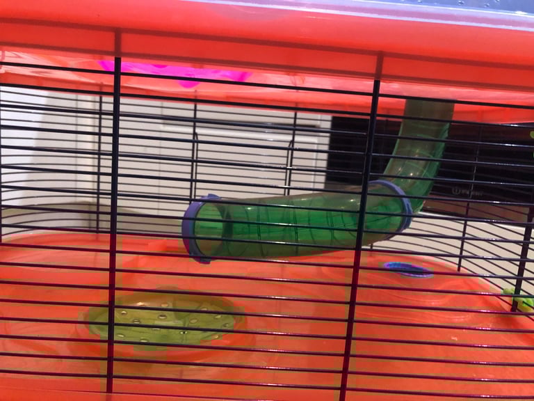 Hamster cage