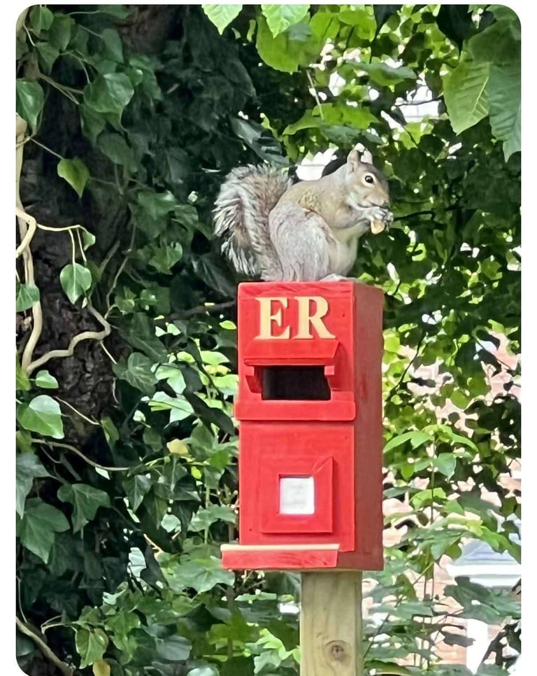 HERE IS OUR PRICE LIST.. 