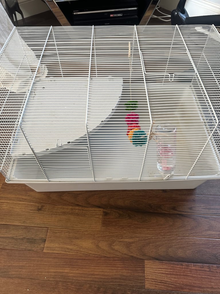 hamster cage 