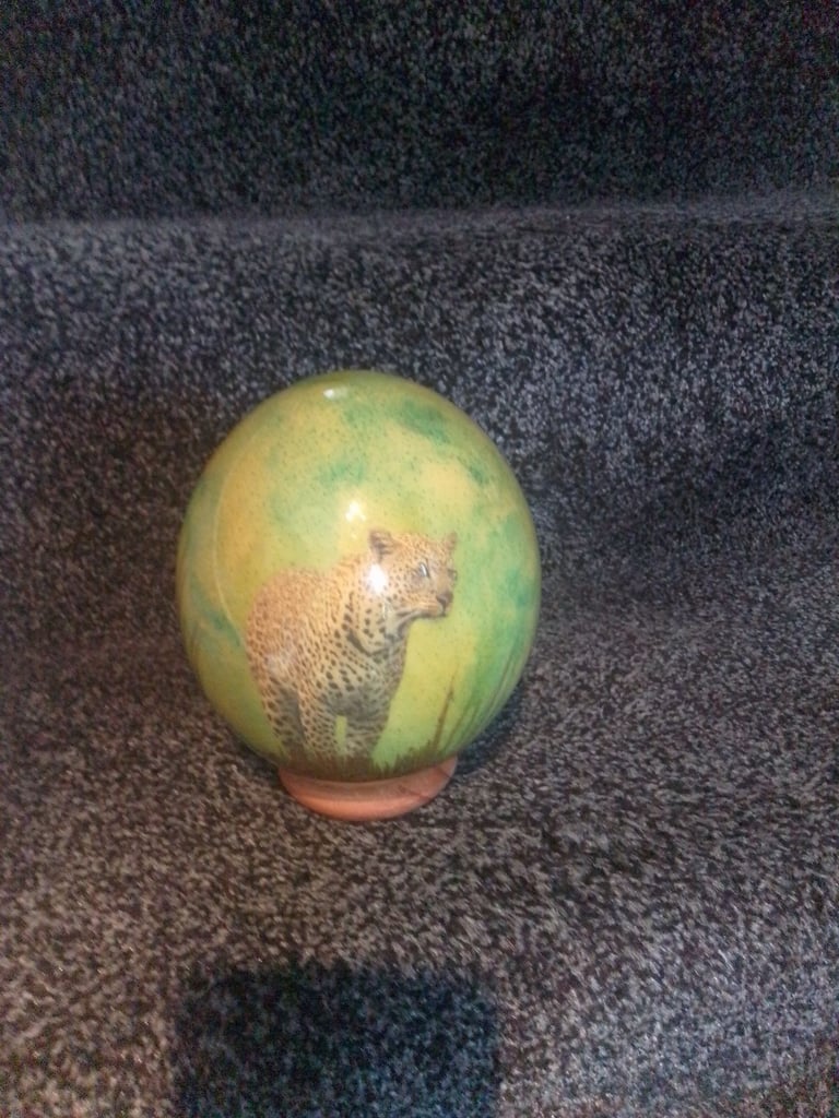 image for Ostrich egg 