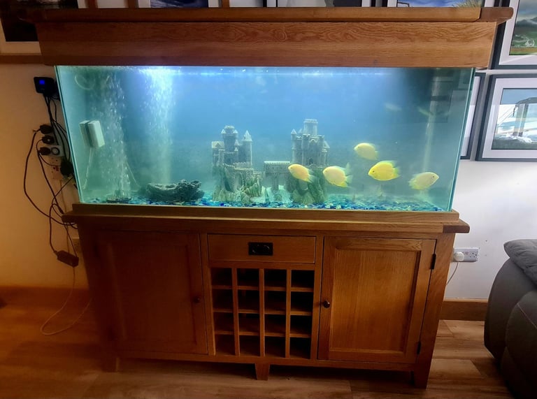 Solid oak wine rack aquarium