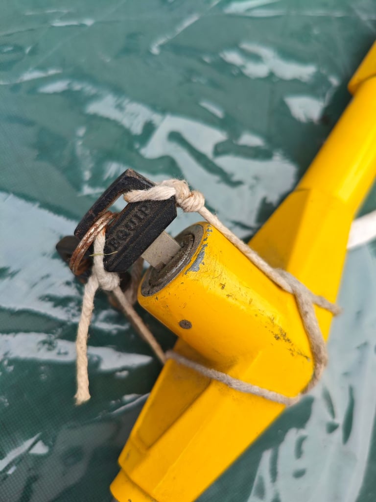 Steering lock