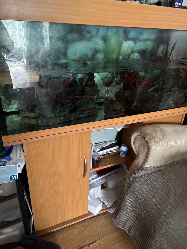 3ft fish tank and 5ft fish tank 