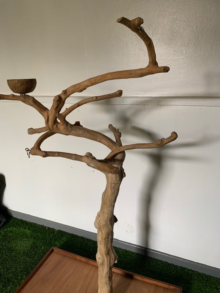 Large Parrot Stand Java