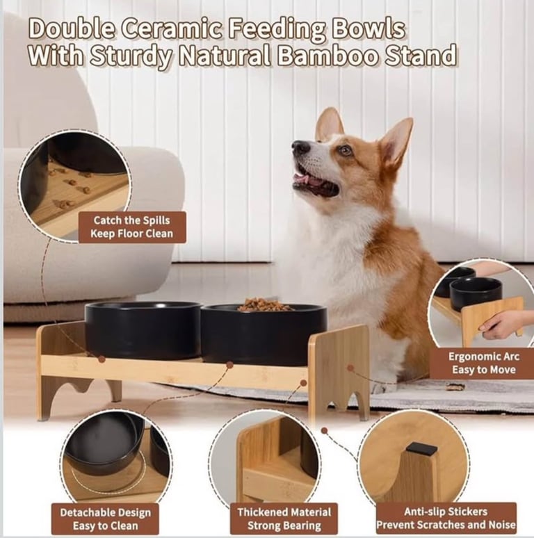 New boxed elevated dog car bowls on wooden bamboo stand 