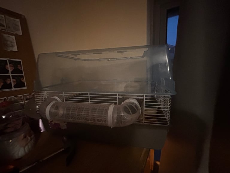 image for Hamster cage 