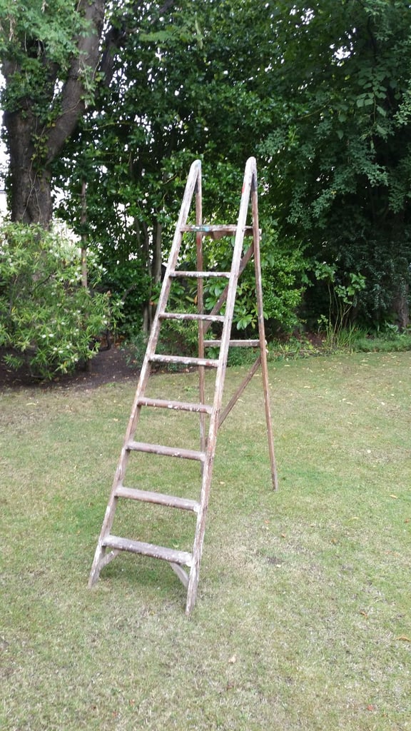 Vintage Pine 8 Step Ladder