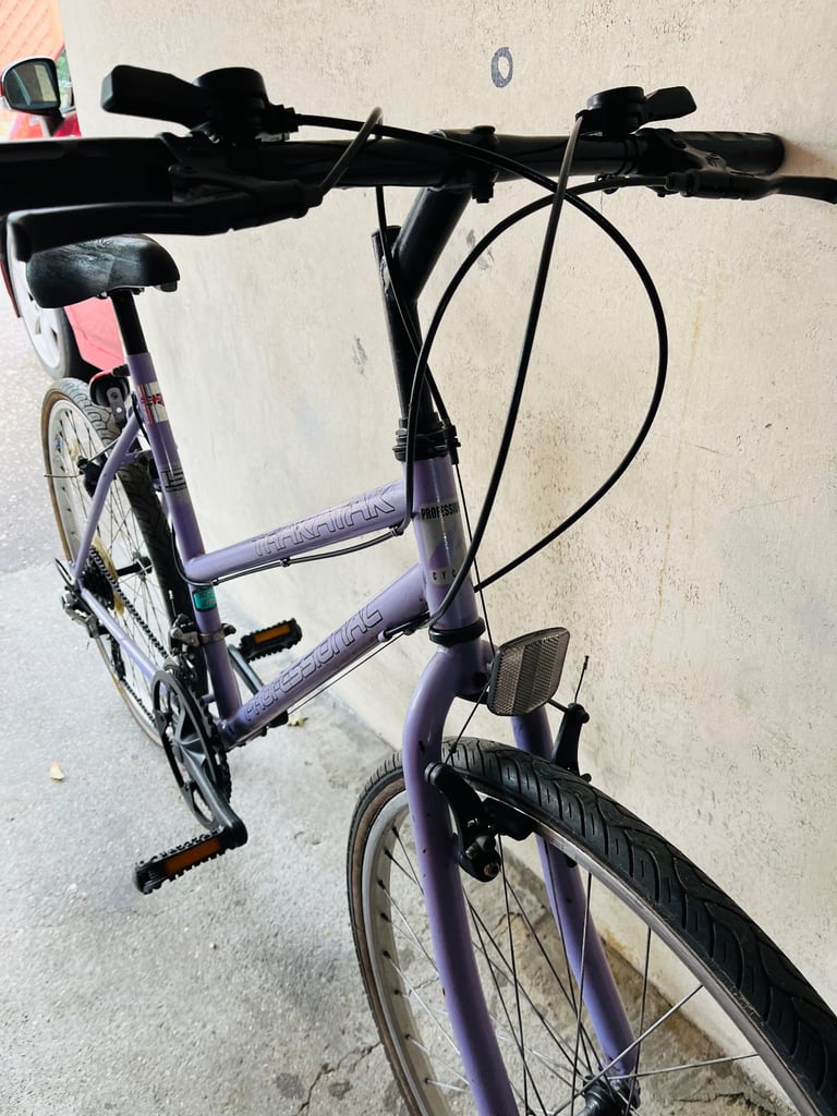 Bike professional trakatak