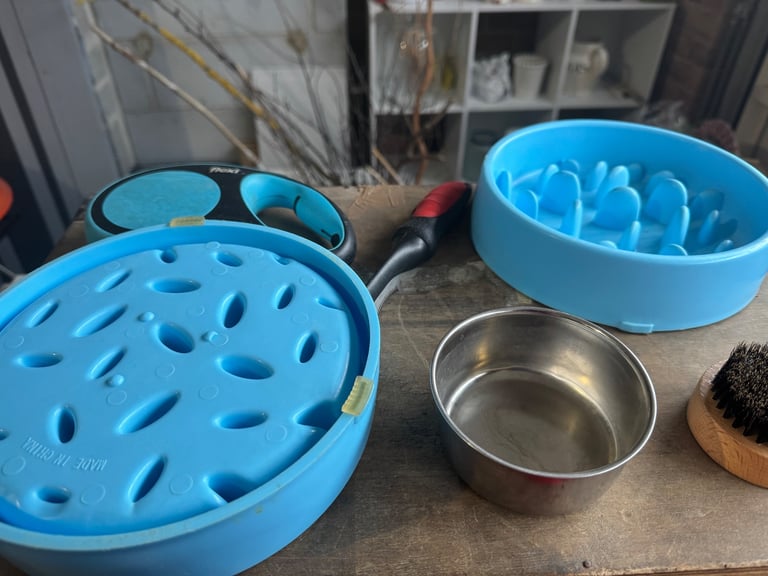 image for 🐾 Dog Essentials Bundle – Ready to Support Your Pup’s Daily Routine