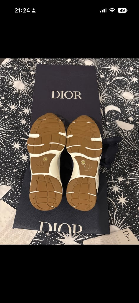 Dior trainers 