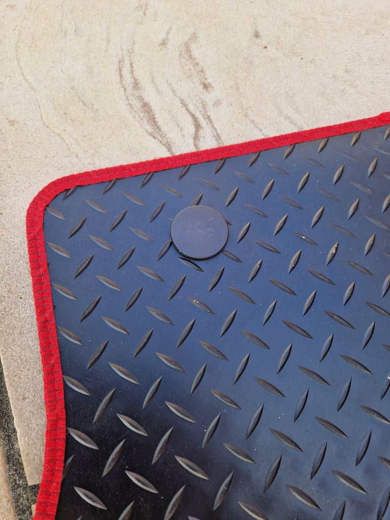 Brand new Focus car mats