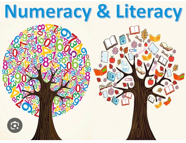 Catch Up Literacy/Numeracy Tuition 